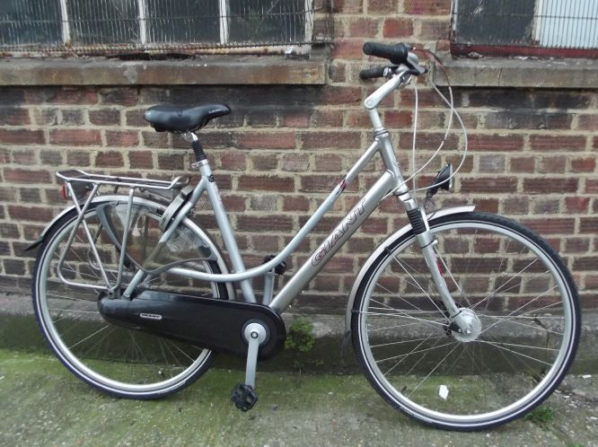 giant dutch bike